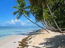 Photo of the Pigeon Point beachfront