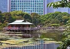 Picture showing the central Hama Rikyu Garden