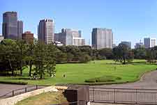Picture of central park
