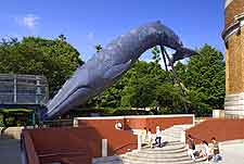 View of the National Museum