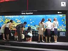 Photo of the Ginza's Sony Building aquarium