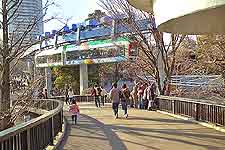 Photo taken in the city zoo at Ueno Park