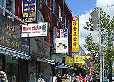 Toronto Chinatown Shopping