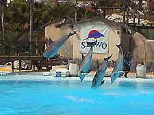 Photo showing Selwo Marina a family favourite