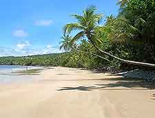 View of exotic palm trees on Balandra Bay