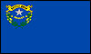 Nevada flag