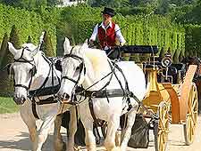 Horse and carriage ride photo, taken in the summer season