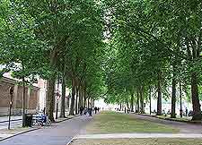 View of local city avenue