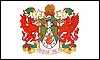 South Glamorgan flag