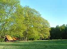 View of the Kampinos National Park (Kampinoski Park)