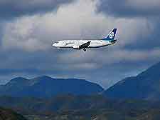 Wellington Airport Information (WLG)