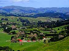 Wellington Walking and Tramping