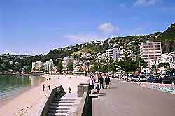 Wellington Information and Tourism