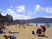 Wellington Beaches