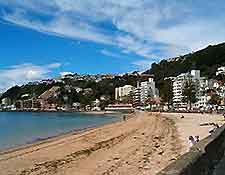 Wellington Beaches3