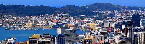 Wellington Business4