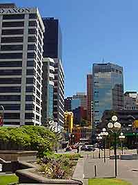 Wellington Business Tips