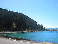 Wellington Coastline
