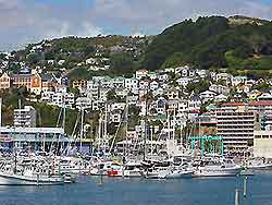 Wellington Tourist Attractions