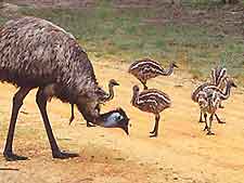 Wellington Attractions for Children