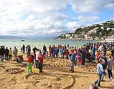 Wellington Events, Festivals and Things to Do