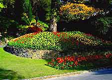 Wellington Gardens Botanic