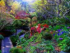 Wellington Parks and Gardens