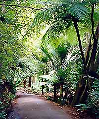 Wellington Gardens Botanic3