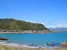Wellington Life and Travel Tips
