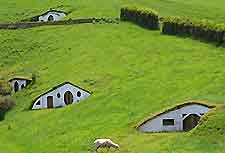 Picture of Hobbit houses in Wellington, New Zealand