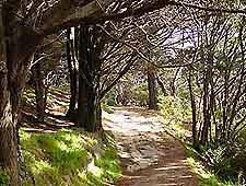 Wellington Lord of the Rings