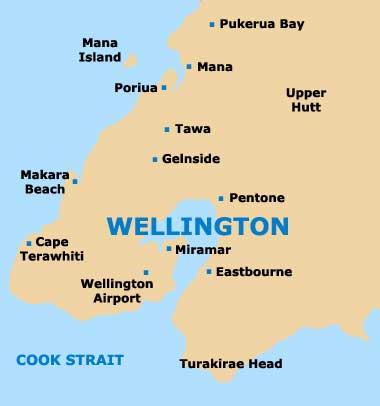 Small Wellington Map