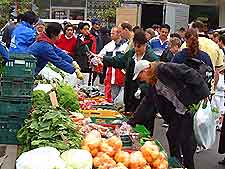 Wellington Markets