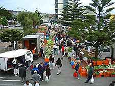 Wellington Markets
