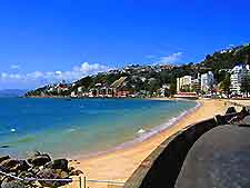 Wellington Beaches