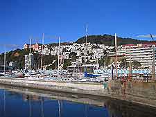Wellington Life and Travel Tips