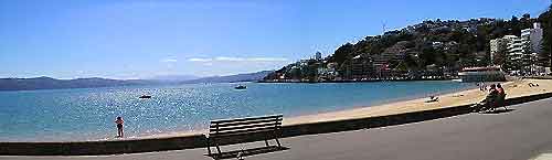 Wellington Oriental Bay7