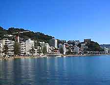 Wellington Beaches