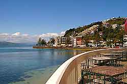 Wellington Restaurants and Dining