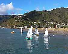Wellington Sports and Outdoor Activities