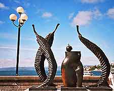 Wellington Life and Travel Tips