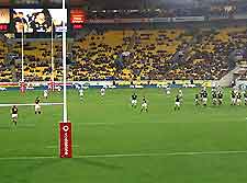 Wellington Sports and Outdoor Activities