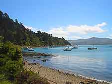 Wellington Sports and Outdoor Activities