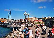 Wellington Shopping