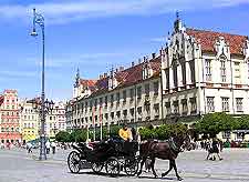 Photo of horse and carriage in the Old Market Square