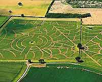 Aerial photograph of the York Maze