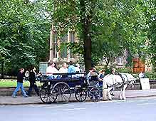 Photo of horse and carriage ride in York